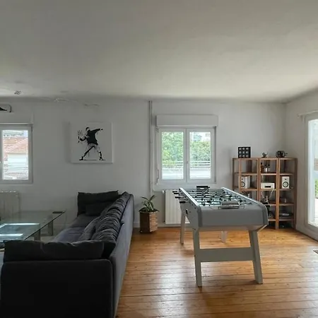 Large Duplex With Terrace Daire Strazburg