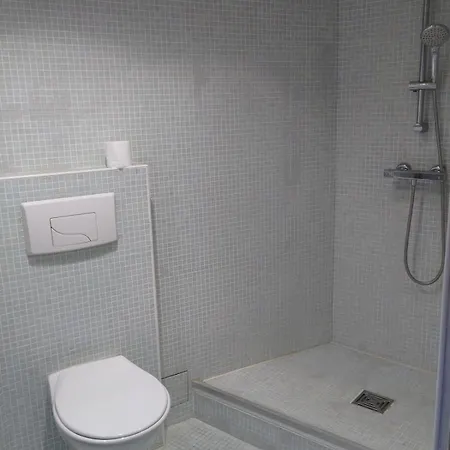 Daire Large Duplex With Terrace Strazburg